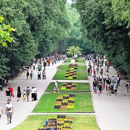 Homex #varna-center *