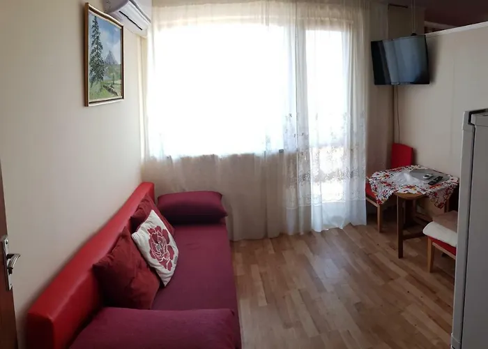 Homex #varna-center ヴァルナ